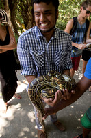 SAS Student, Bahia Coast, Sapiranga Forest, Python V151-9288