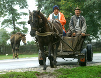 Burlusi, Horse Cart030926-9238a