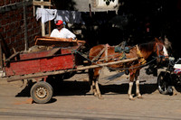 Corinto, Horse Cart1116031a