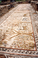 Macedonia, Heraklea, Roman Mosaic S V-8464