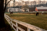 Quechee, Horse Farm S -2906