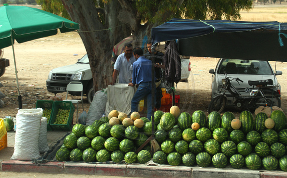 Northern Tunisia, Watermelon Stand1025932a