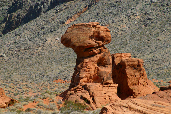 Valley of Fire SP0467406a