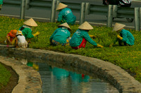 Saigon Area, Fieldworkers120-8582