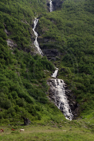 Geiranger Area, Waterfall V1043115a