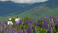 Sugar Hill, Lupine, Mtn View, People030616-2397a