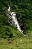 Geiranger Area, Waterfall V1043114a
