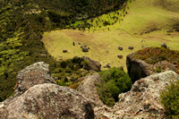 Mt Taratara, Hike, View1014817