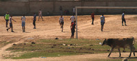Northern Algeria, Soccer Game1027651a