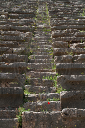 Delphi, Theater, Steps V1019038