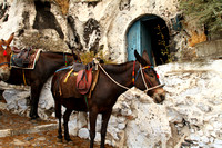Santorini, Fira, Steps, Donkeys1017663