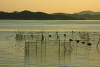 Inland Sea, Fishing Nets0830966a
