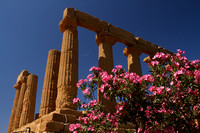 Agrigento, Temple of Juno1025124