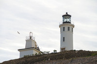 Channel Islands NP, Anacapa Is, Lighthouse140-9319