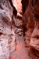 Valley of Fire SP, White Domes Tr V0748947a