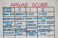 Tema, Maternity Hosp, Apgar Score Chart120-5829