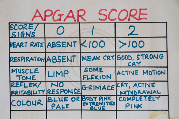Tema, Maternity Hosp, Apgar Score Chart120-5829