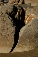 Moeraki, Boulders, Detail V0735856