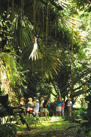 Golfo Dulce, Casa Orquideas, People, V040122-9138a