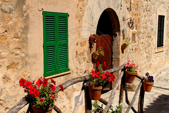 Mallorca, Valldemossa, Door, Flowers1033960a