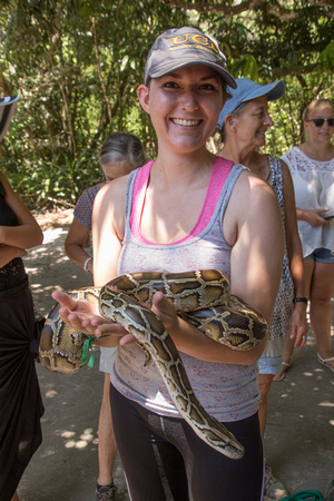 SAS Student, Bahia Coast, Sapiranga Forest, Python V151-9278