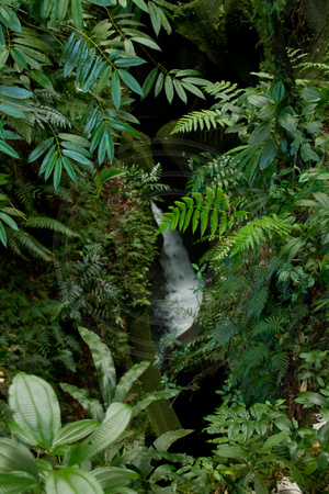 Ti Tou Gorge, Waterfall V120-4420