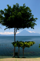 Panajachel, Lake Atitlan V1115953