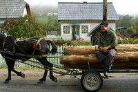 Botos, Horse Cart, House030929-0267