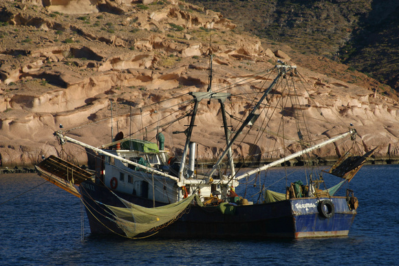 Ensenada Grande, Fishing Boat031225-5110