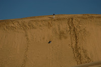 Te Paki Giant Sand Dunes0734415a