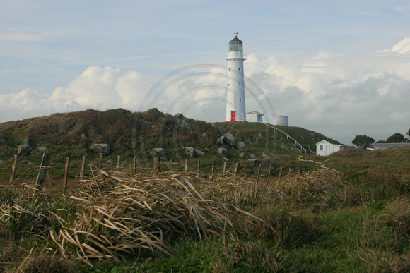 Cape Egmont Lighthouse0732155a