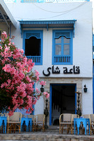 Sidi-Bou-Said, Bldg, Flowers V1026980
