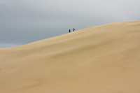Te Paki Giant Sand Dunes0816846