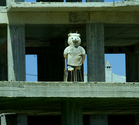 Saranda, Bear on Building Project1019716a