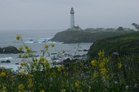 Pescadero, Pigeon Point Lighthouse0730050a