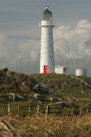 Cape Egmont Lighthouse V0732160