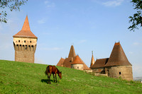 Hunedoara, Castle, Horse030927-9573a