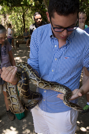 SAS Student, Bahia Coast, Sapiranga Forest, Python V151-9275