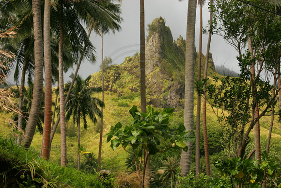 Mountain,Fatu Hiva, French Polynesia