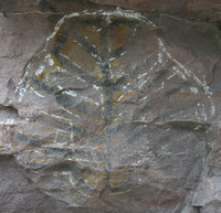San Javier Rd, Cave Painting030205-1136a