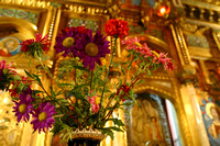 Curtea de Arges, Monastery, Flowers030925-9106