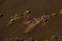 Lava Beds NM, Schonchin Butte141-2174