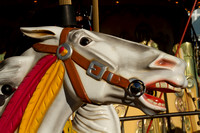 Cape Town, Waterfront, Carousel, Horse120-5936