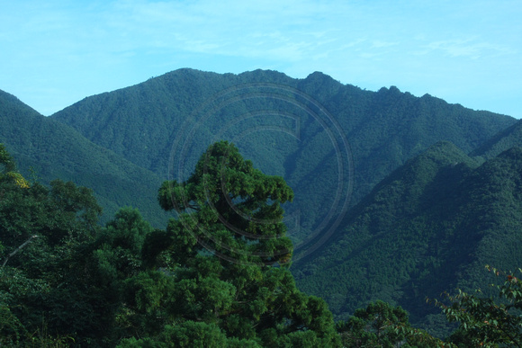Yakushima, Mountains0832937
