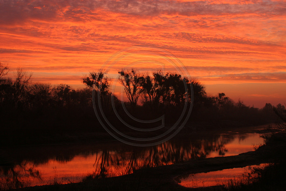 Firebaugh, San Joaquin River, Sunrise0615143