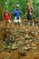 Corcovado NP, Leafeater Ant Colony, V040123-9477a