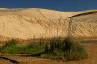 Te Paki Giant Sand Dunes0734377