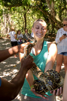 SAS Student, Bahia Coast, Sapiranga Forest, Python V151-9287