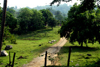Eastern Guatemala, Dirt Road1117150a