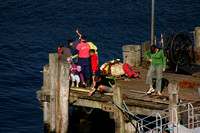 Stewart Island, Halfmoon Bay, Dock0815442